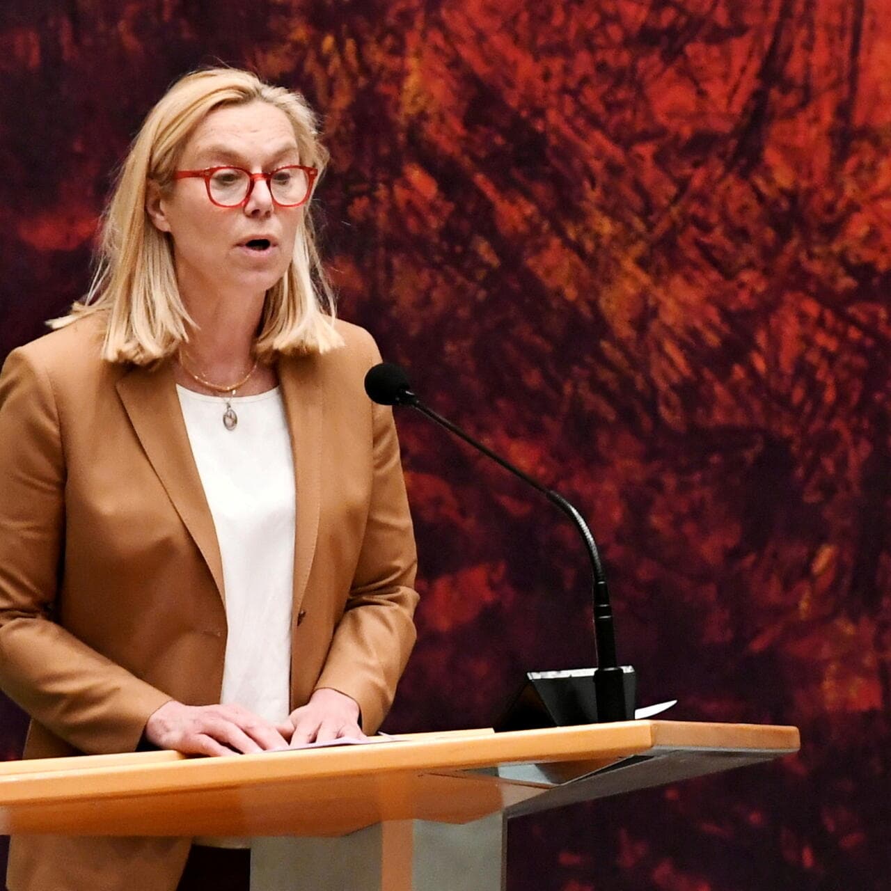 Cover Image for The Netherlands’ Female Finance Minister, Sigrid Kaag, Resigns as Party Leader